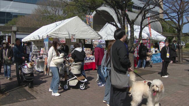「お洋服買いました！みんなお揃いで」ファッションコンテストやデコカートコンテストも　愛犬と一緒に楽しめるイベント福岡百道浜ドッグフェスタ|TBS NEWS DIG