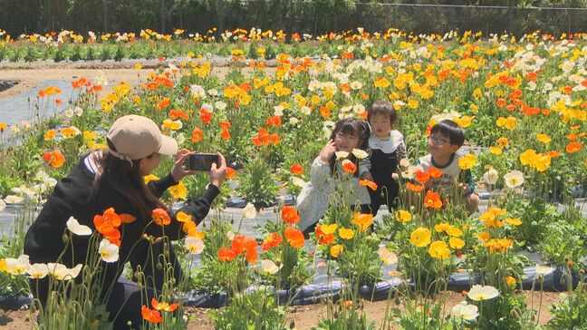 GW期間中、最多入場者数は「るるパーク」　大分県内の観光施設に48万人以上が訪れる|TBS NEWS DIG