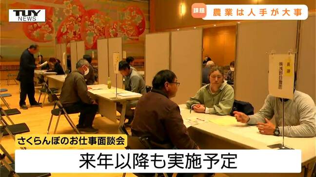 収穫時期の人手不足の解消へ！ さくらんぼ農家と求職者をつなぐ面談会（山形・東根市）|TBS NEWS DIG