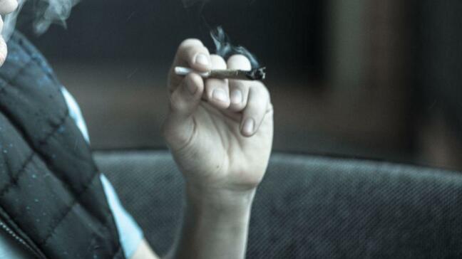 長崎市の大学生(22)が自宅で大麻所持　現行犯逮捕|TBS NEWS DIG