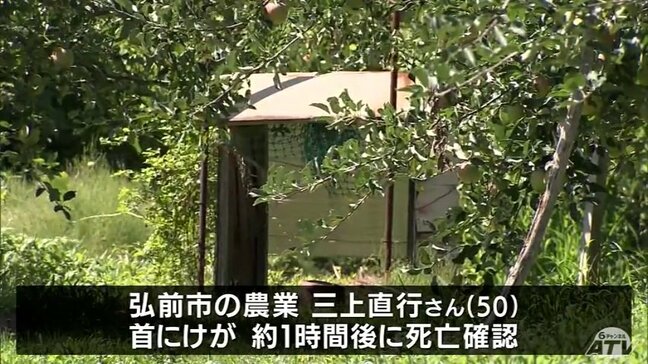リンゴ畑で農薬散布中に機械が横転して男性死亡 青森県弘前市|TBS NEWS DIG