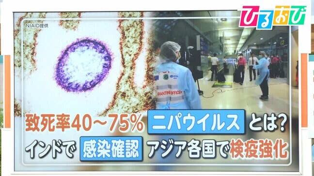 致死率40~75%「ニパウイルス」インドでヒト感染確認 日本での流行の可能性は【ひるおび】|TBS NEWS DIG