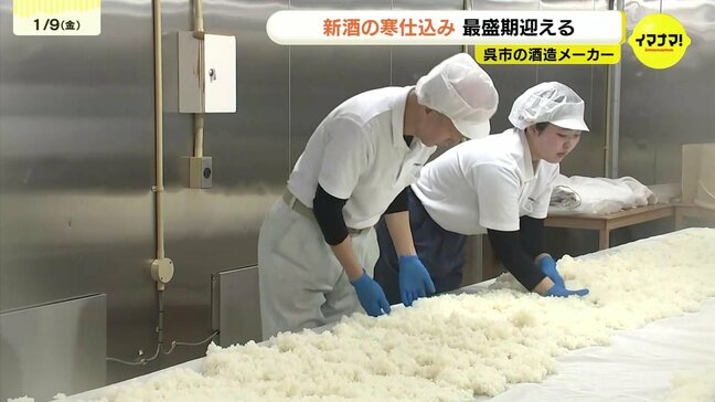 「米の旨味と香りのバランスがとれたお酒に」大寒を前に酒造メーカーで寒仕込み 大吟醸や純米酒など高級酒の仕込みが本格化 広島・呉|TBS NEWS DIG
