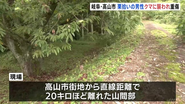 「親子のツキノワグマに遭遇した」75歳男性が腕の骨を折るなどの重傷　岐阜・高山市|TBS NEWS DIG