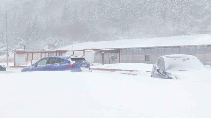 吹雪で視界不良　国道で乗用車同士が正面衝突　50代女性けが　宮城・七ヶ宿町|TBS NEWS DIG