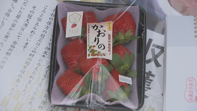 いちごの苗に合格の願い込め…「合格いちご」祈願　山口・光|TBS NEWS DIG