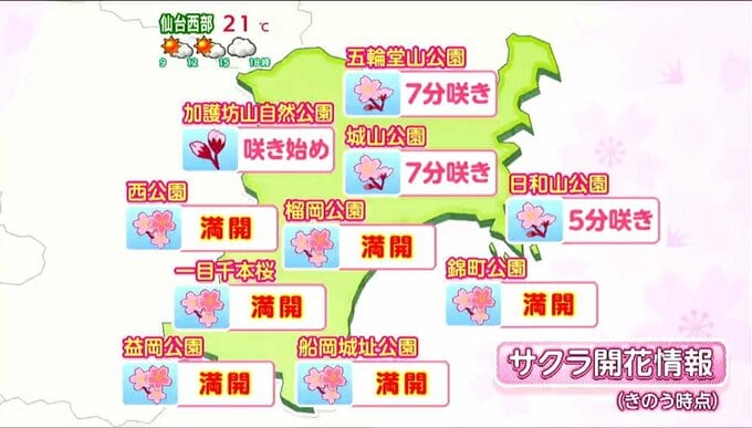【9日宮城の天気】気温が大幅上昇・最高気温20℃を超えるところ多く服装の調節が必要【花粉・桜開花・雨雲予想の情報掲載】内陸中心に花粉大量飛散|TBS NEWS DIG