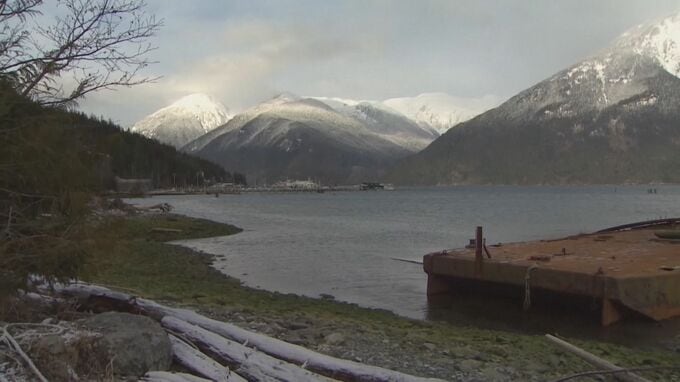 クマが遠足中の子どもらを襲う　4人負傷 うち2人重体　カナダ西部|TBS NEWS DIG