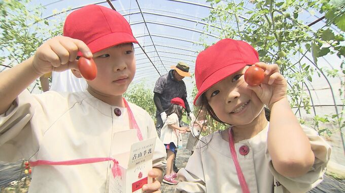 幼稚園児がミニトマト狩りに挑戦　大分　|　大分のニュース｜OBS NEWS｜大分放送