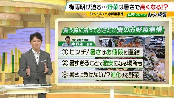 【温暖化であえぐ野菜】形も崩れ、光合成の気孔自らふさぎ、産地リレーもままならず　いっぽう暑いほど安く買えるのが「道の駅⁉」|TBS NEWS DIG