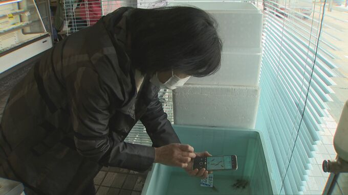 「申し訳ないほど高い」ホタルイカ漁初日…店では1匹300円！記念写真撮る人も　記録的不漁に衝撃　|　富山のニュース｜天気・防災｜チューリップテレビ