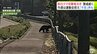 「早く捕まえてほしい」保護者からは『不安』の声　クマの目撃相次ぐ青森市浪岡で警戒続く　付近のリンゴ農家からも「怖いなと思うけど…」　|　青森のニュース│ATV NEWS│青森テレビ