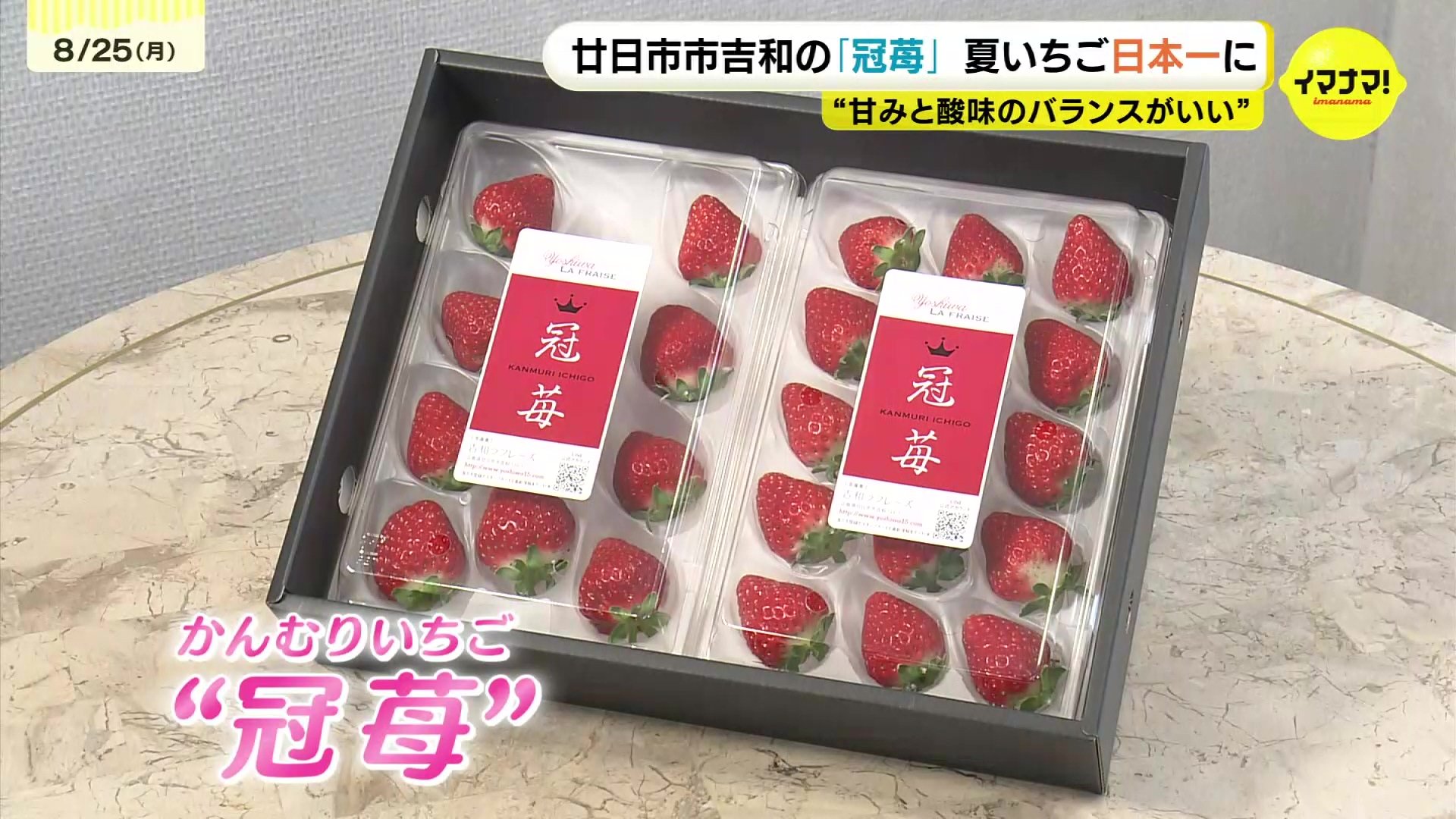 甘みと酸味のバランスがいい」「カキ、アサリに並ぶコンテンツに」広島