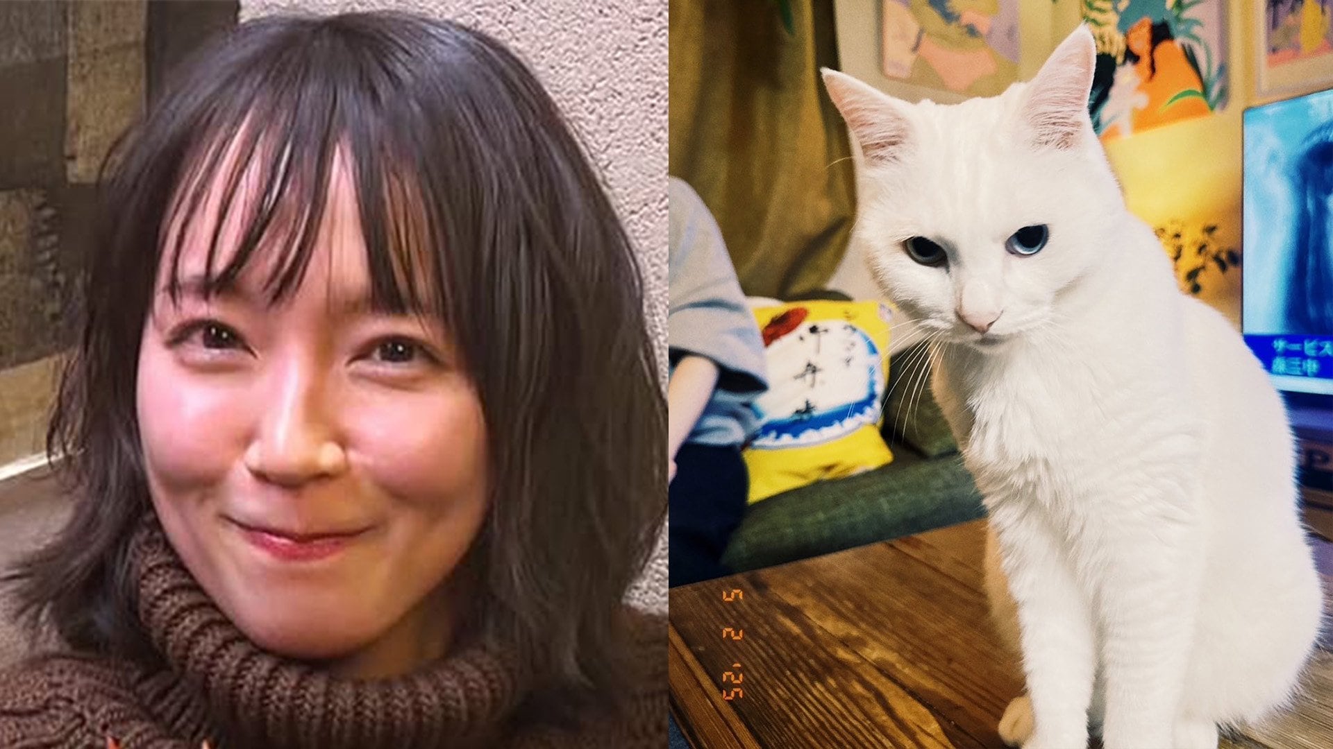 吉岡里帆】「なんという可愛さ」白猫とたわむれるオフショットを公開