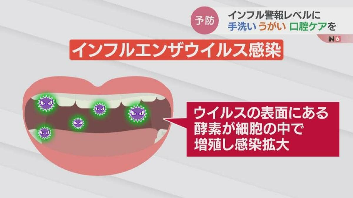 寝る前の歯みがきが効果的…インフルエンザ ウイルス酵素を活発にする