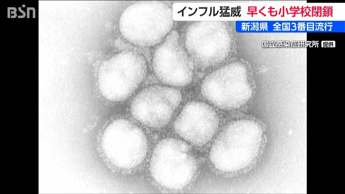 サムネイル_新潟県内のインフル1医療機関あたりの患者数全国3番目　糸魚川市の小学校ではこの時期異例の学校閉鎖