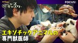 【衝撃手術】カメの甲羅を切る…巨大“尿路結石”400gを摘出！「10軒断られた」行き場のない動物たちの“最後の砦” エキゾチックアニマル専門獣医師に密着！|TBS NEWS DIG