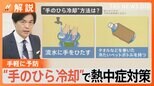 「手のひら冷却」で手軽に熱中症予防!体温調節を担う血管を冷やすのが効果的 今できる熱中症対策は?【Nスタ解説】|TBS NEWS DIG