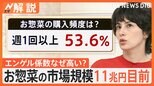 G7の中でも高水準に…日本のエンゲル係数なぜ高い? お惣菜 市場規模は年々拡大し11兆円目前【Nスタ解説】|TBS NEWS DIG