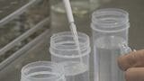 名古屋の井戸水から暫定目標値を超えるPFAS 11か所のうち8か所で検出 新たに9か所でも調査中 どうやって調べる? | 名古屋・愛知・岐阜・三重のニュース【CBC news】 | CBC web