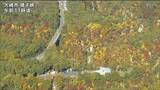 猛暑の影響は…紅葉見ごろ鳴子峡 宮城・大崎市|TBS NEWS DIG