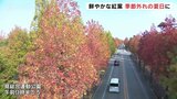 11月に“夏日”予想 あすはさらに気温が上がる見込み 富山|TBS NEWS DIG