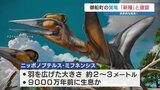 「大きな一歩」熊本で発見 “新属・新種の翼竜” 研究チームが『ニッポノプテルス・ミフネンシス』と命名|TBS NEWS DIG