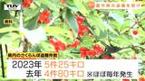 これから旬の "赤い宝石" を盗難から守れ! 地域が一体となって防犯意識を高めることを確認(山形) | 山形のニュース│TUYテレビユー山形