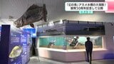 「幻の魚」アカメ水槽の大掃除！飼育50周年を記念して公開　迫力ある見た目とは裏腹に非常に神経質で臆病な性格　桂浜水族館　|　高知のニュース・天気｜KUTV NEWS | KUTVテレビ高知