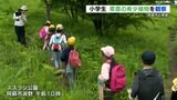 「これプリンみたいな匂いしてる!」小学生が阿蘇市のスズラン公園で草原学習 208種類のうち20種類が希少植物と判明 熊本 | 熊本のニュース|RKK NEWS|RKK熊本放送