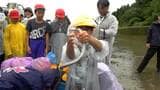 薩摩川内市で小学生がウナギを放流「元気に暮らしてほしい」　鹿児島　|　鹿児島のニュース｜MBC NEWS｜南日本放送