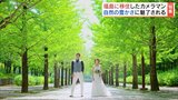 『福島はダイナミック』自然に魅せられ移住「思い出深いウエディングフォトを」 | 福島のニュース│TUF