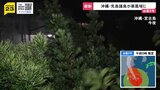 【台風9号】先島諸島が暴風域に　宮古島では停電も…一方で「猛暑日」多発　「子ども日傘」で熱中症対策【news23】|TBS NEWS DIG