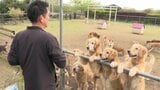 「24時間寄り添う」犬の介護施設 “老犬ホーム” の1日 | 熊本のニュース|RKK NEWS|RKK熊本放送
