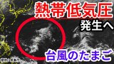 【台風情報】新たな「熱帯低気圧」(台風のたまご)がフィリピンの東で発生の見込み 今後の進路・影響は?気象予報士が解説 週末18日・19日の天気は? 詳しい雨風シミレーションをみる【気象庁 15日午後1時半更新】 |TBS NEWS DIG