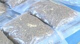 大麻を麻薬に位置づけ 「使用」を禁止する法律が施行 若年層の大麻乱用が背景 | 大分のニュース|OBS NEWS|大分放送