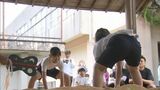 小学生力士が熱戦！五ヶ瀬町の小学校で伝統の相撲大会|TBS NEWS DIG
