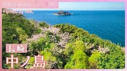 ドラマにも登場した孤島の桜 長崎・中ノ島【JNN sakuraドローンDIG 2025】|TBS NEWS DIG
