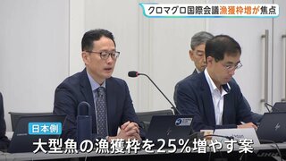 豊漁のクロマグロ “漁獲枠の拡大”は？　日本は“25％増”求める方針　短期間で上限、操業停止の地域も　新ルールなど話し合う国際会議| TBS CROSS DIG with Bloomberg