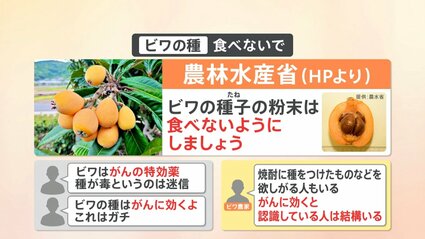食べるとガンに効果ある”！？ SNSで拡散の「ビワの種」 農水省は注意