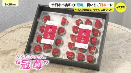 甘みと酸味のバランスがいい」「カキ、アサリに並ぶコンテンツに」広島
