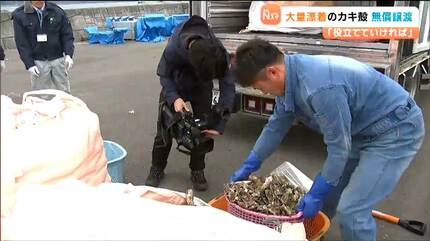 結構使える用途があると思う」海岸に漂着したカキ殻10.5t 肥料から