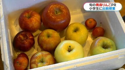 【角丸帯】「想い出を映して」リンゴ・スター 日本盤 旧規格 消費税表記なし 帯付 角丸帯】「想い出を映して」リンゴ・スター 日本盤 旧規格 消費税表記