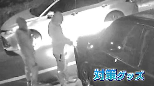 「アナログだけど車守るには一番いい」ランドクルーザーやレクサス、多発する高級車盗難 今すぐできる対策とは 愛車がわずか8分で…|TBS NEWS DIG