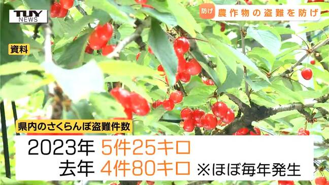 これから旬の "赤い宝石" を盗難から守れ! 地域が一体となって防犯意識を高めることを確認(山形)|TBS NEWS DIG