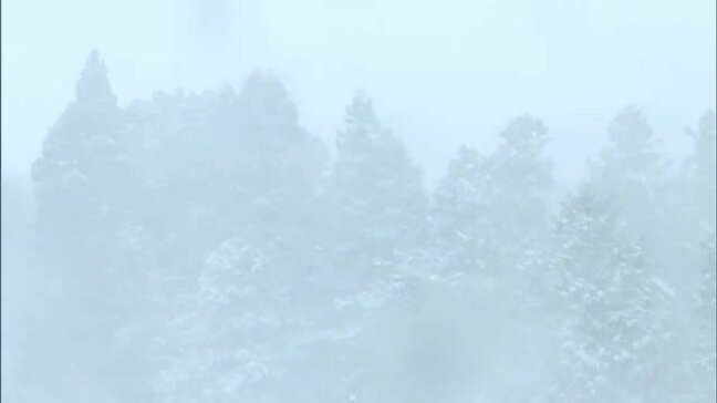 強い寒気が流れ込み瀬戸内地方は強風や雪 岡山県北では積雪と厳しい冷え込み 交通機関への影響も【岡山】|TBS NEWS DIG