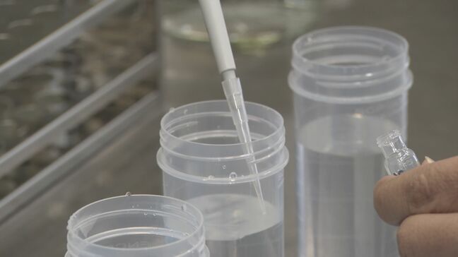 名古屋の井戸水から暫定目標値を超えるPFAS 11か所のうち8か所で検出 新たに9か所でも調査中 どうやって調べる?|TBS NEWS DIG