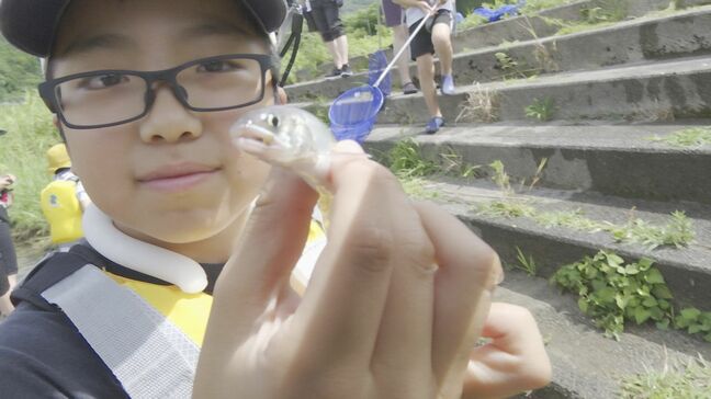 学んで遊ぶ「日野川」川遊びを通じて自然の大切さを伝える　親子でアユの稚魚放流「みんなの日野川学校」|TBS NEWS DIG