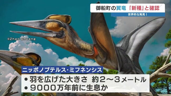「大きな一歩」熊本で発見 “新属・新種の翼竜”　研究チームが『ニッポノプテルス・ミフネンシス』と命名|TBS NEWS DIG