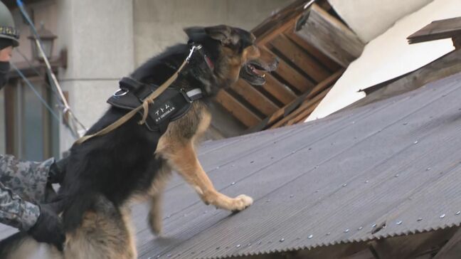 能登半島地震 死者92人 安否不明者242人に 災害救助犬による捜索も|TBS NEWS DIG